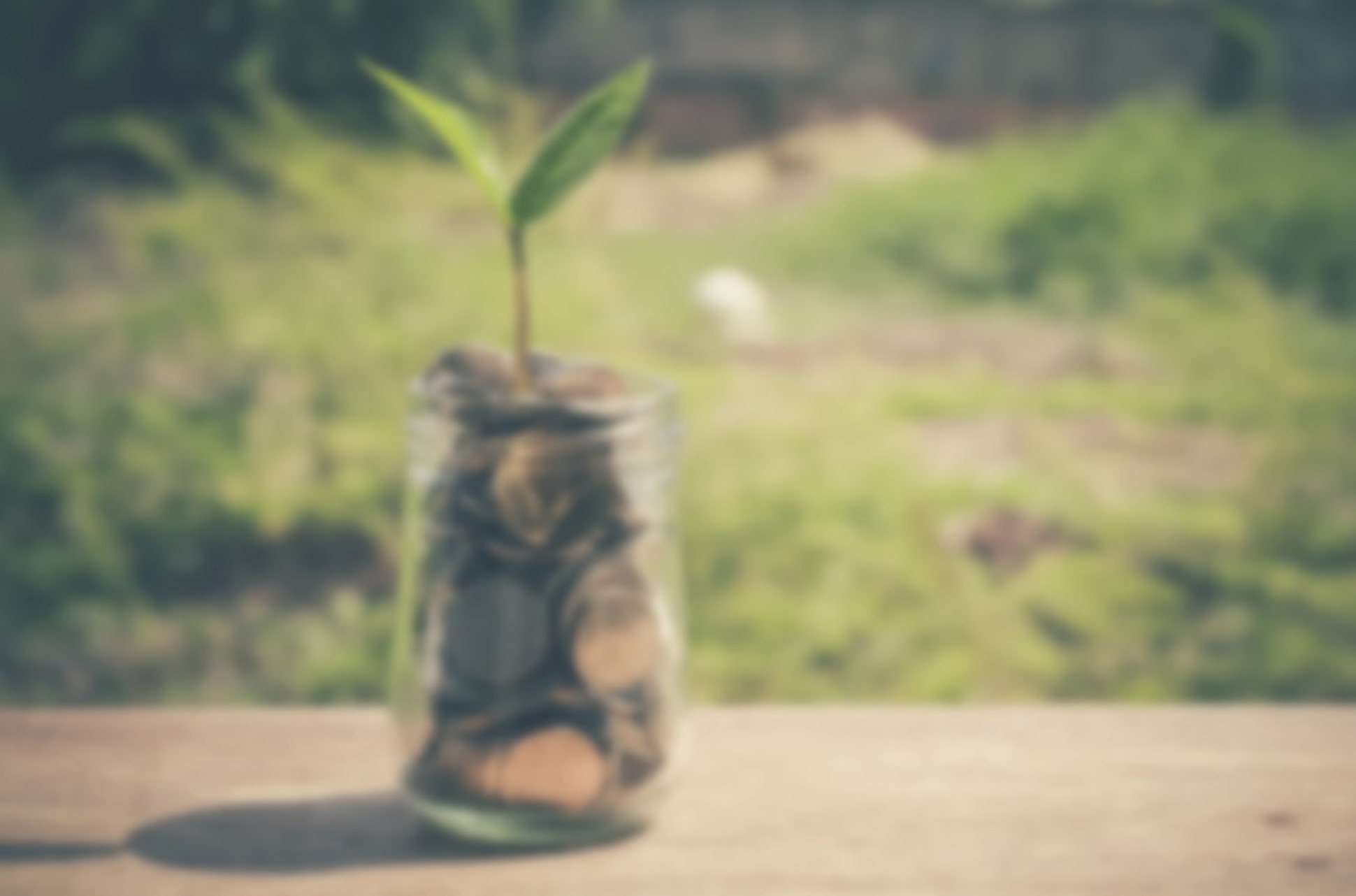 Fördermittel-Suche bei Musterfirma in Musterstadt